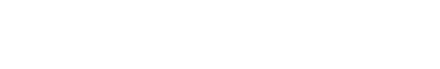 ds_logo
