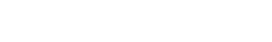 ds_logo