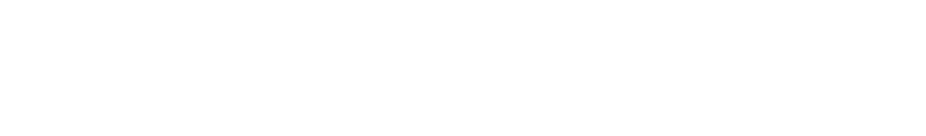 steamulation-logo-neu-white-1.png